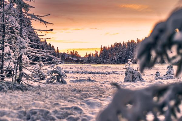 Der Bayerische Wald im Winter