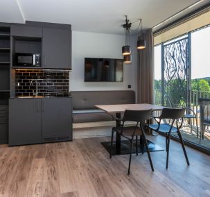 Moderner Küchenzeile und Wohnbereich im Apartment