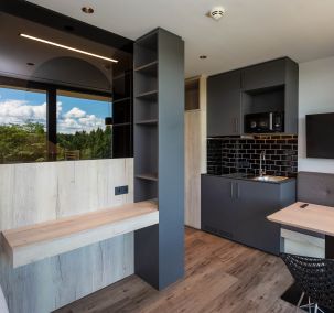 Apartment mit modernem Wohnbereich und Küchenzeile