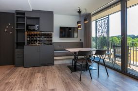 Moderner Küchenzeile und Wohnbereich im Apartment